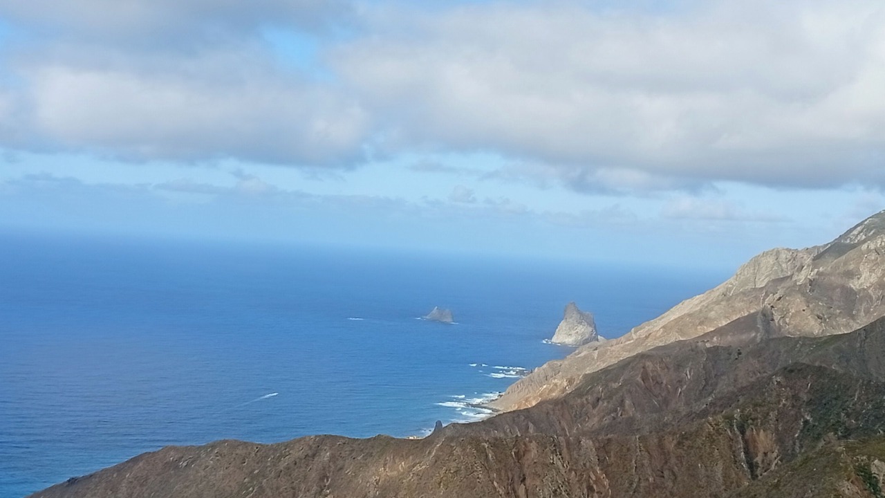 Photo of Others in Santa Cruz de Tenerife
