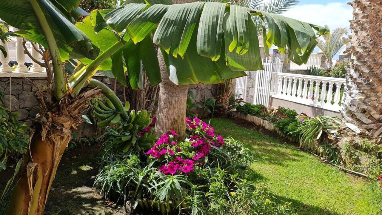 Photo of Outdoor in Arenas del Mar