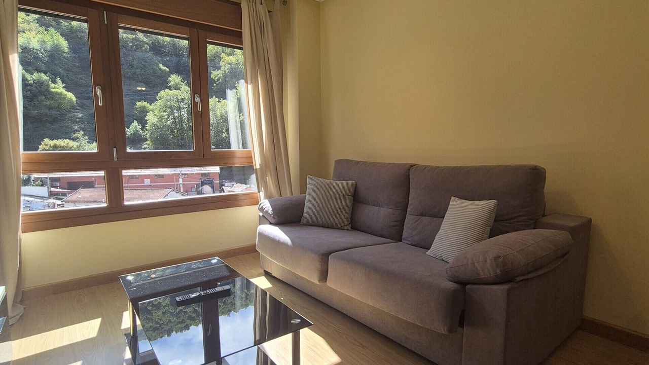Photo of Livingroom in Felechosa
