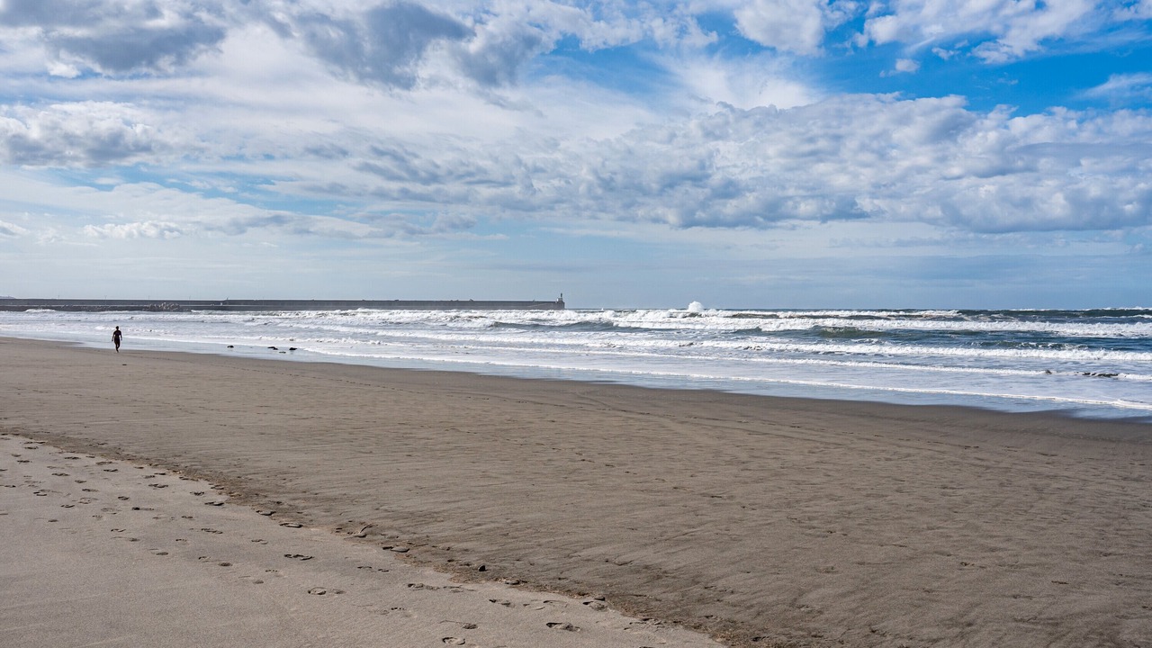 Photo of Others in San Juan de la Arena