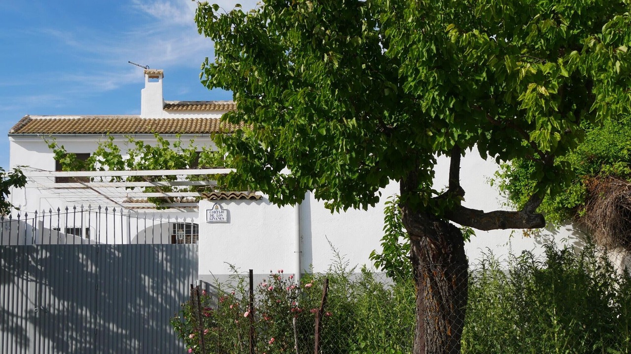 Photo of Outdoor in Moclin