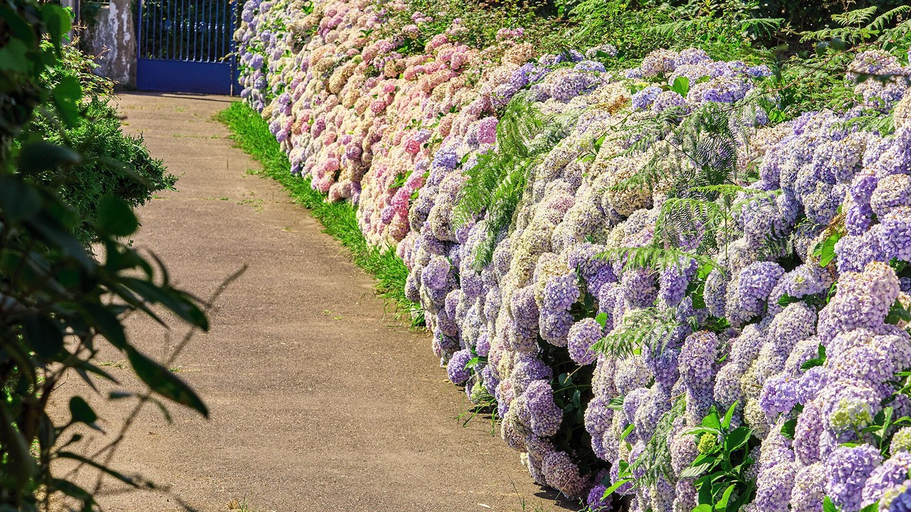 Photo of Outdoor in Illas