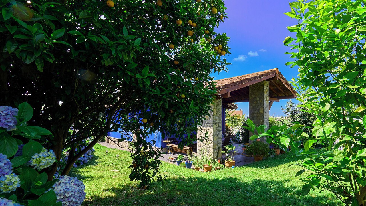 Photo of Outdoor in Illas