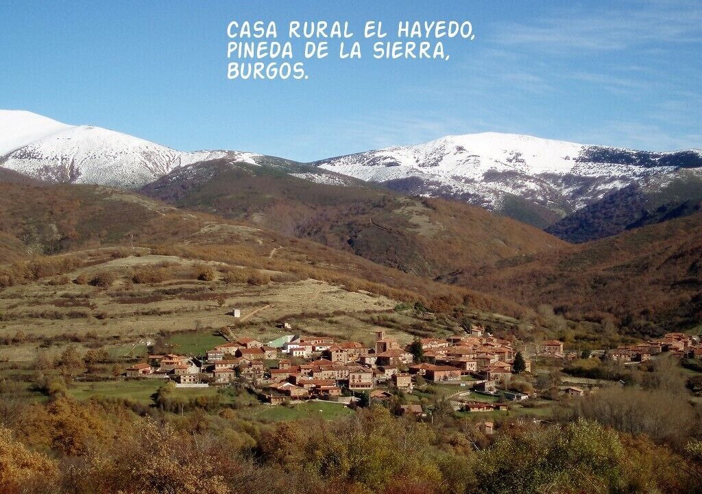 Photo of Others in Pineda de la Sierra