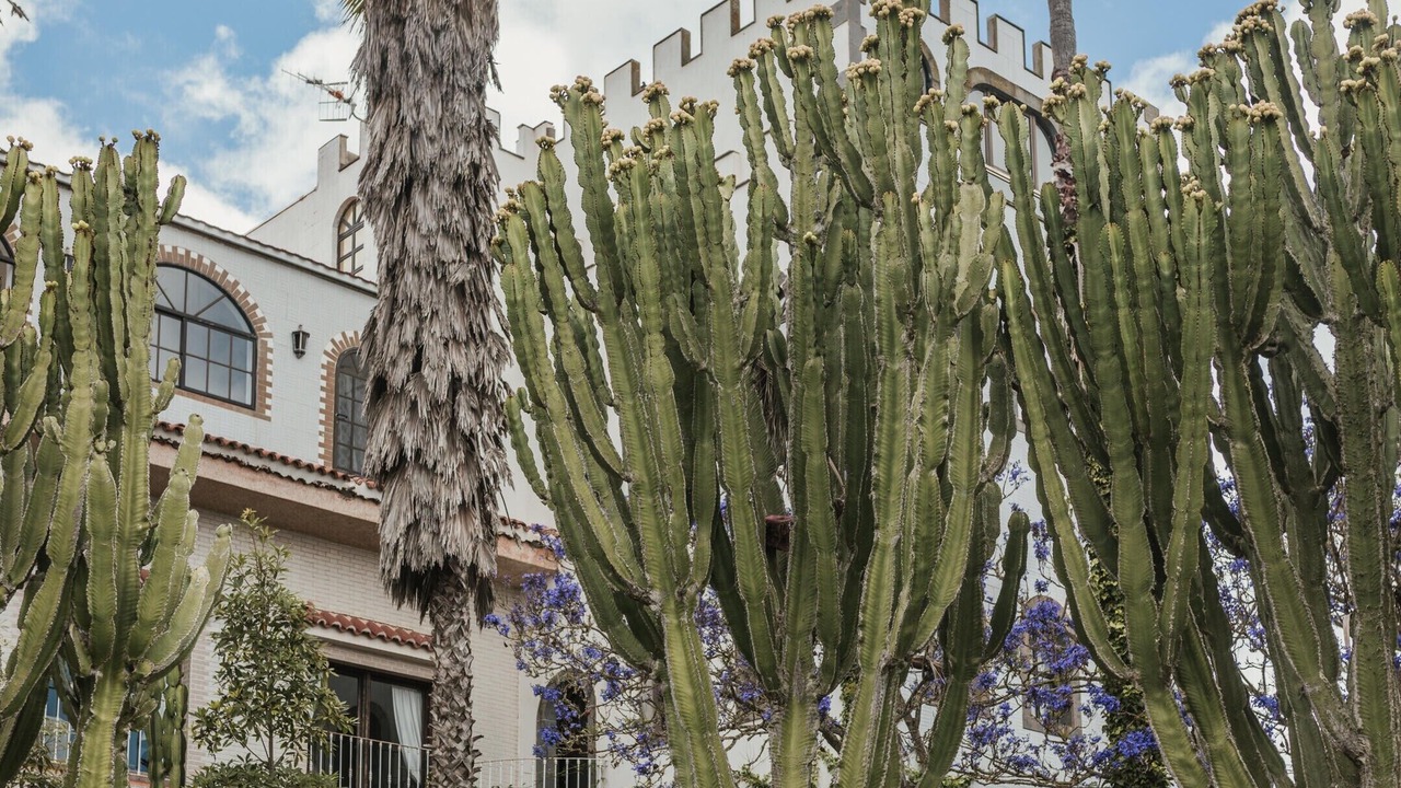 Photo of Outdoor in Los Portales