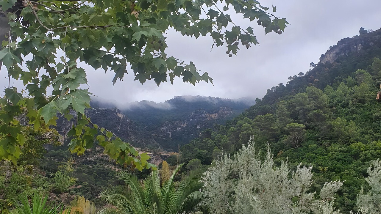 Photo of Outdoor in Iznatoraf