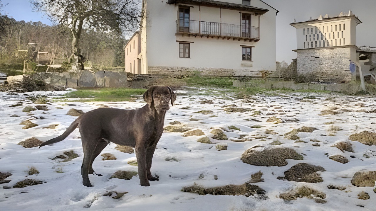 Photo of Outdoor in Mondonedo