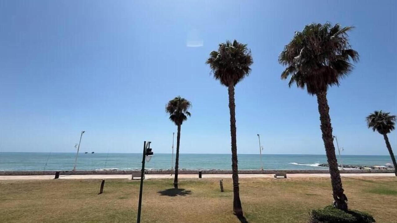 Photo of Others in Guadalmar