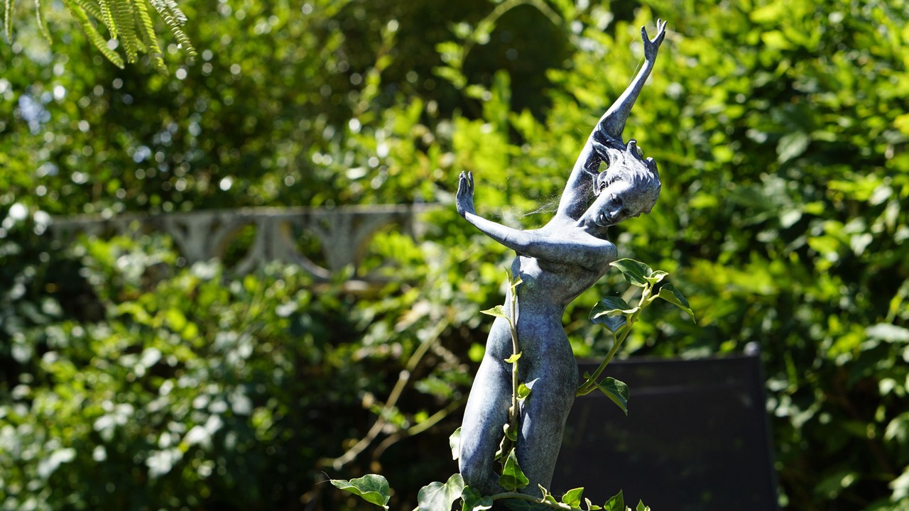 Photo of Outdoor in Loureiro