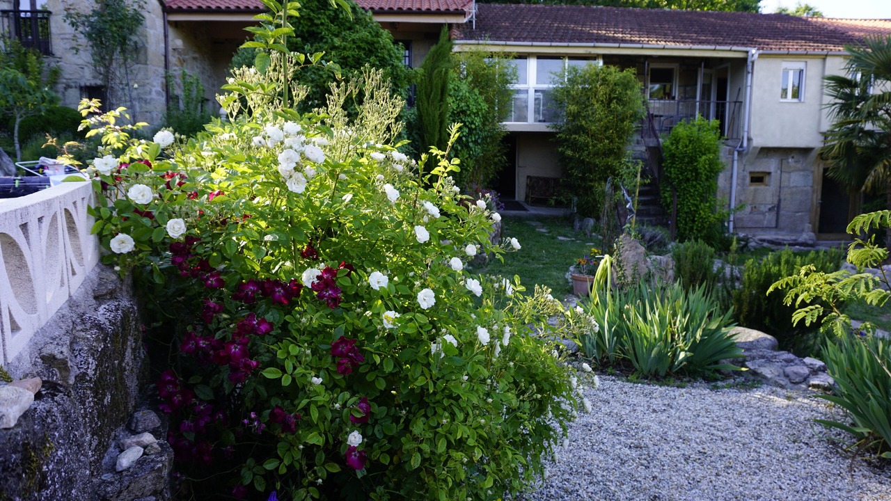 Photo of Outdoor in Loureiro