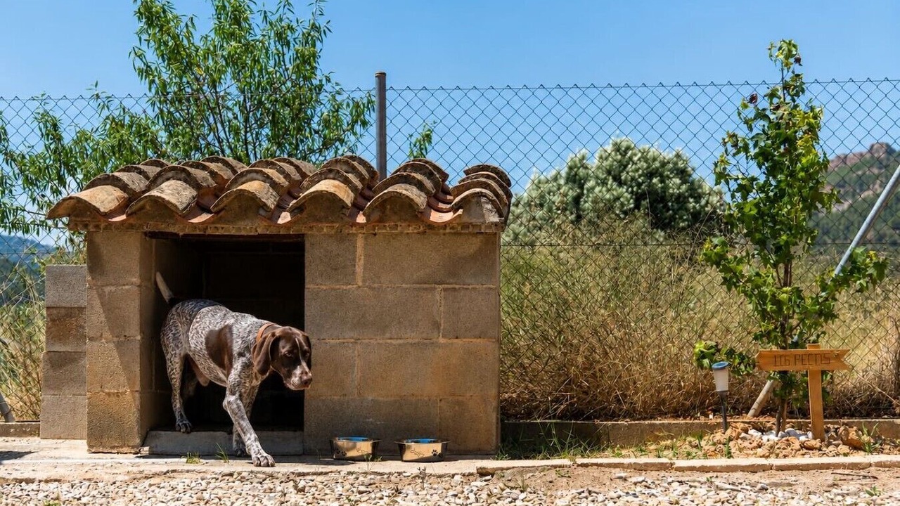 Photo of Outdoor in Prat de Comte