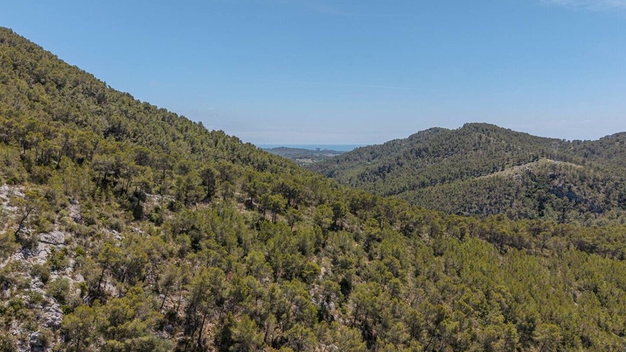 Photo of Others in Sant Pere de Ribes