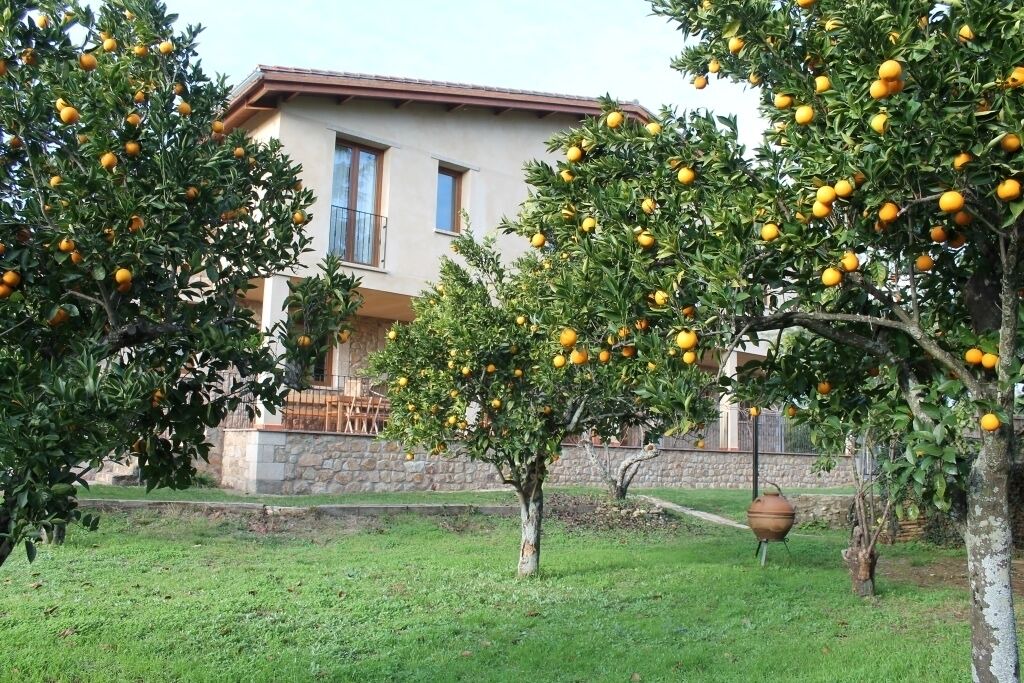 Photo of Outdoor in Cadalso