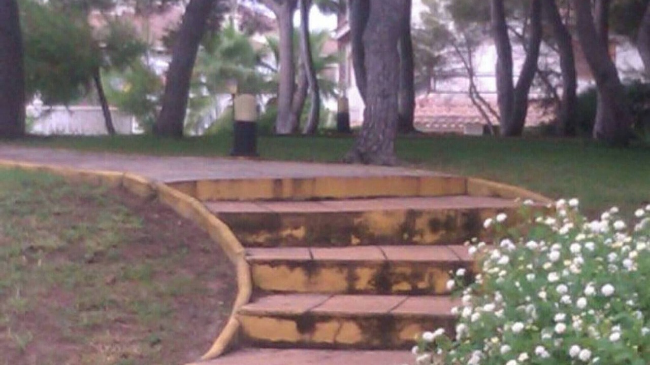 Photo of Outdoor in Pilar de la Horadada