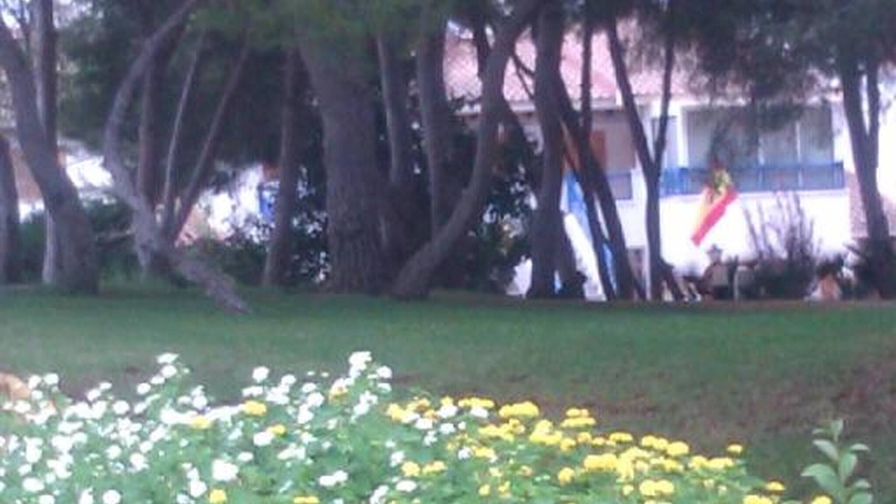 Photo of Outdoor in Pilar de la Horadada
