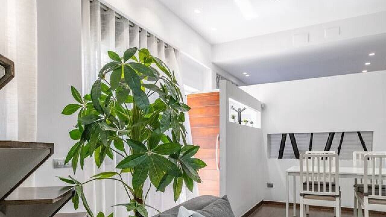 Photo of Livingroom in Terrassa