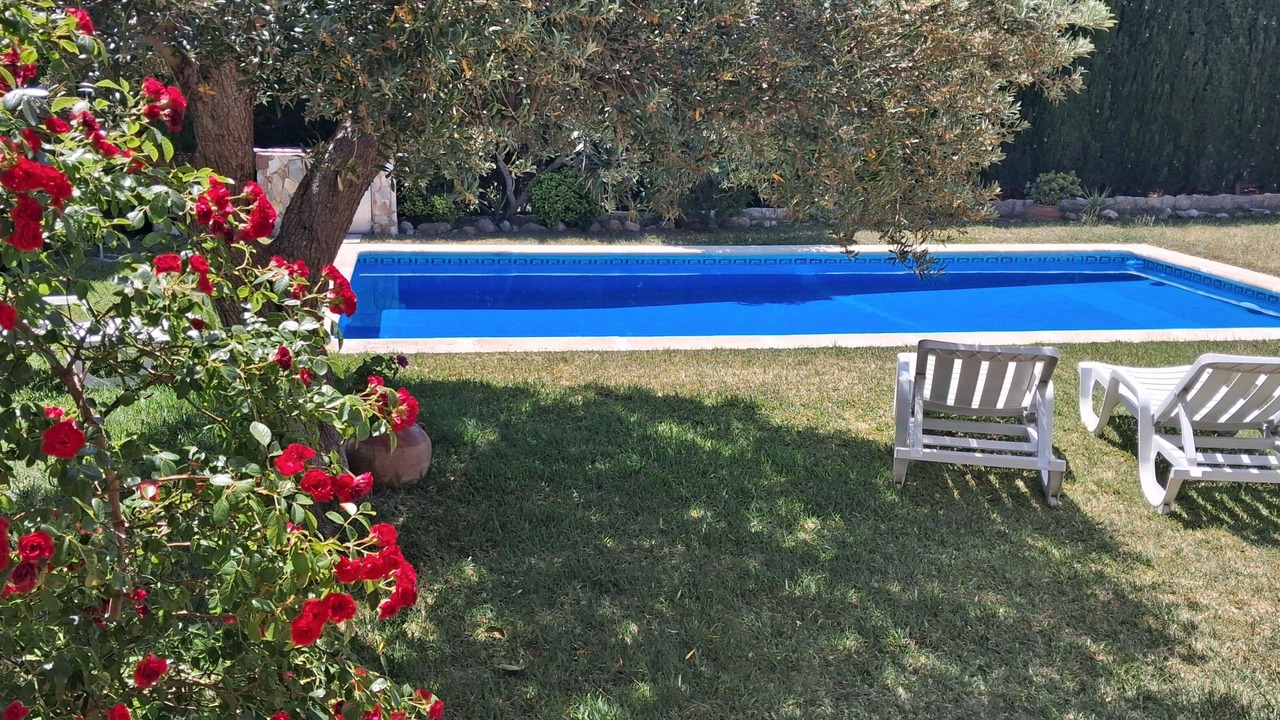 Photo of Others in Calafat