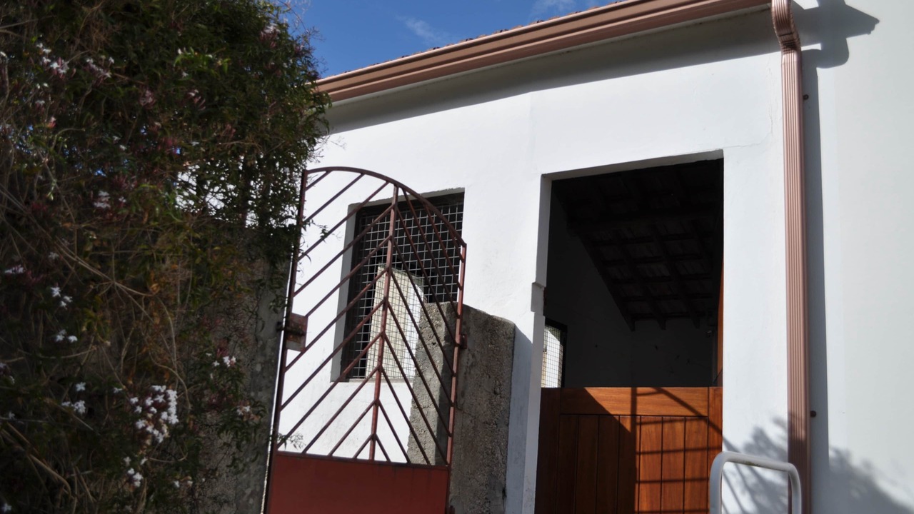 Photo of Outdoor in Carballo