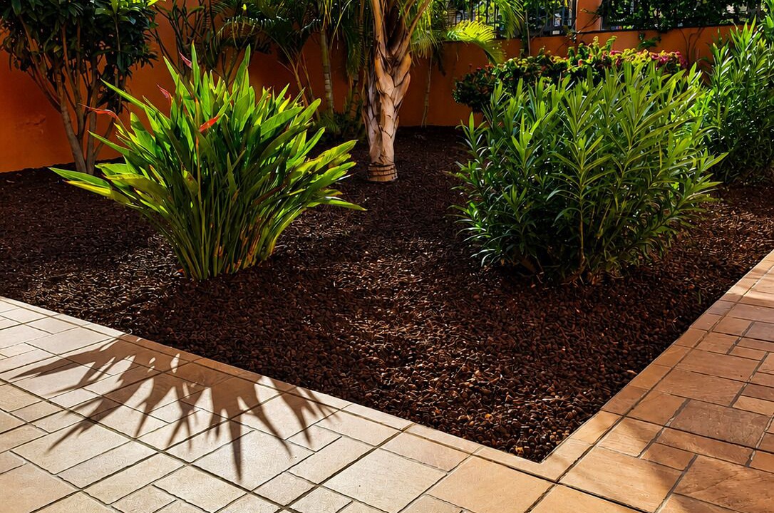 Photo of Outdoor in Buenavista del Norte