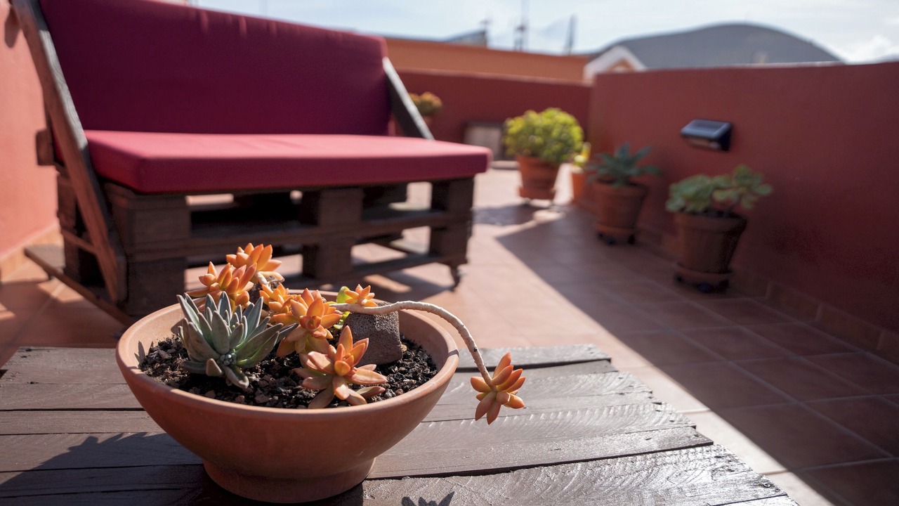 Photo of Patio Balcony in Buenavista del Norte