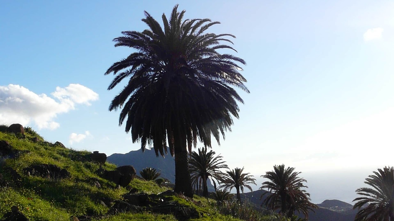 Photo of Others in Vallehermoso