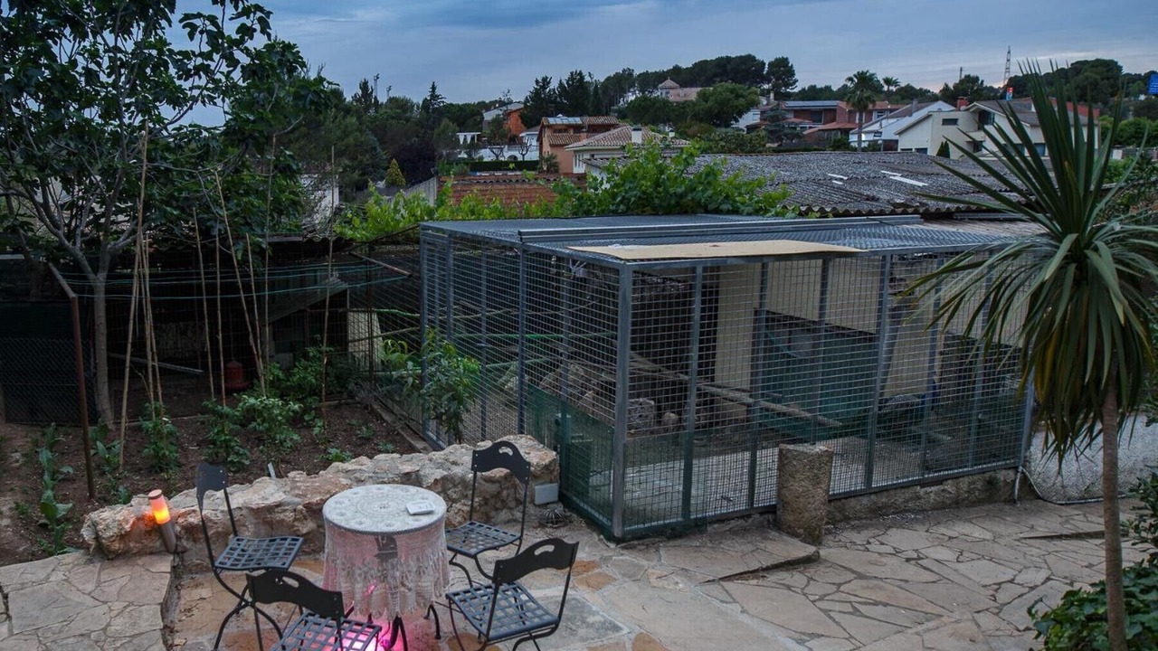 Photo of Outdoor in Olerdola