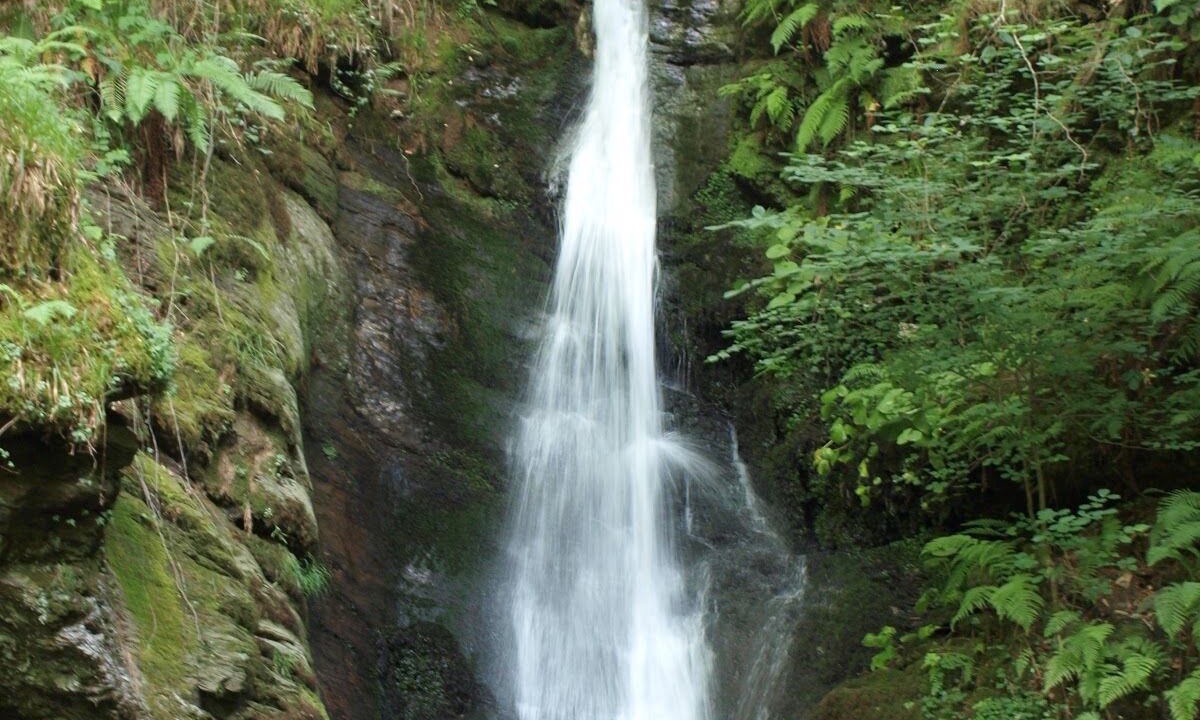 Photo of Others in Fazouro