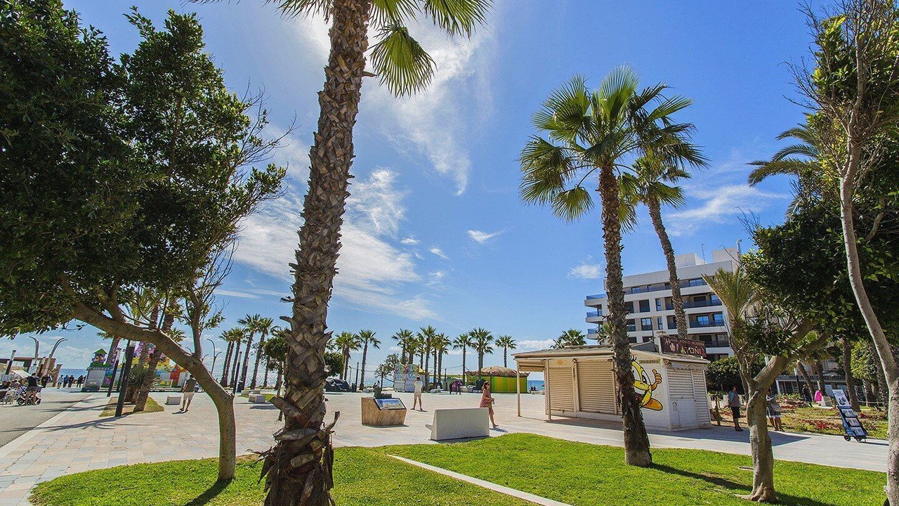 Photo of Others in La Mata