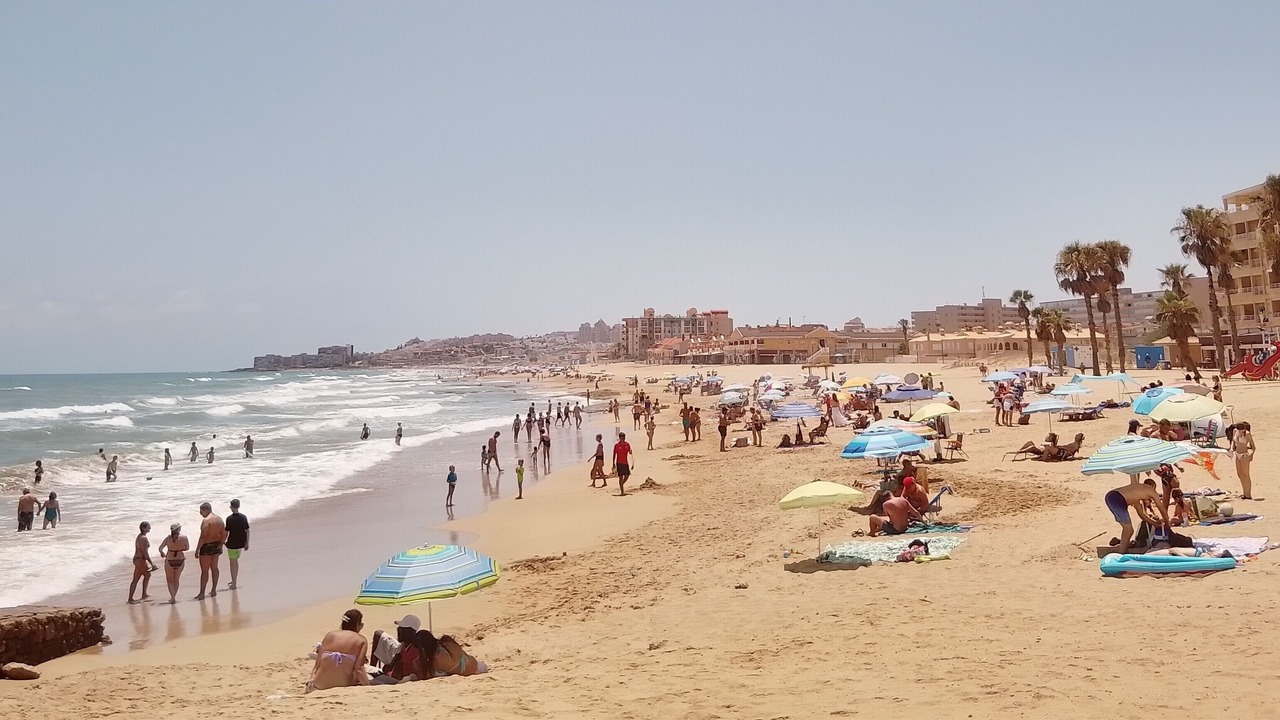 Photo of Others in La Mata