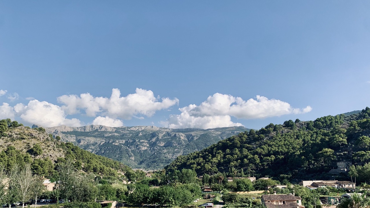 Photo of Others in Puerto de Soller