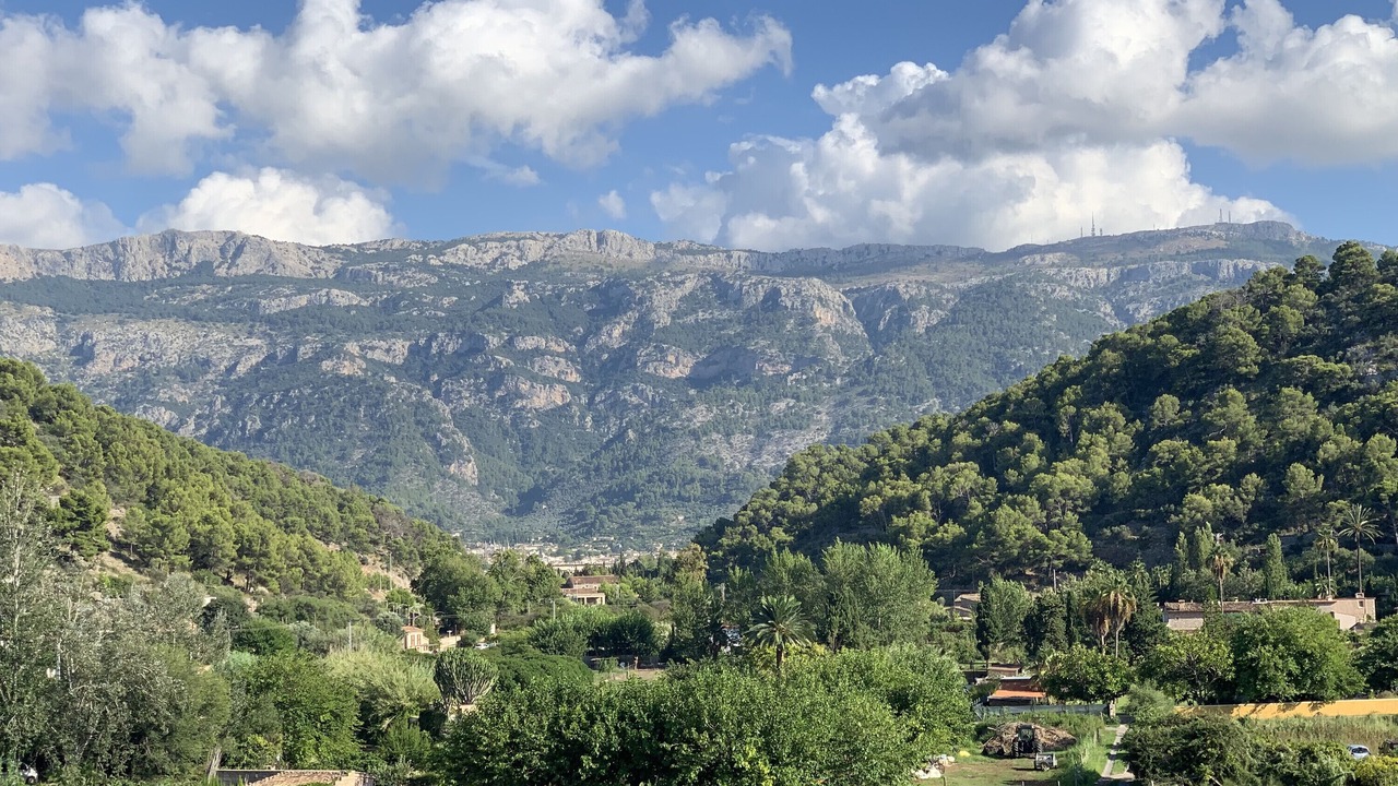 Photo of Others in Puerto de Soller