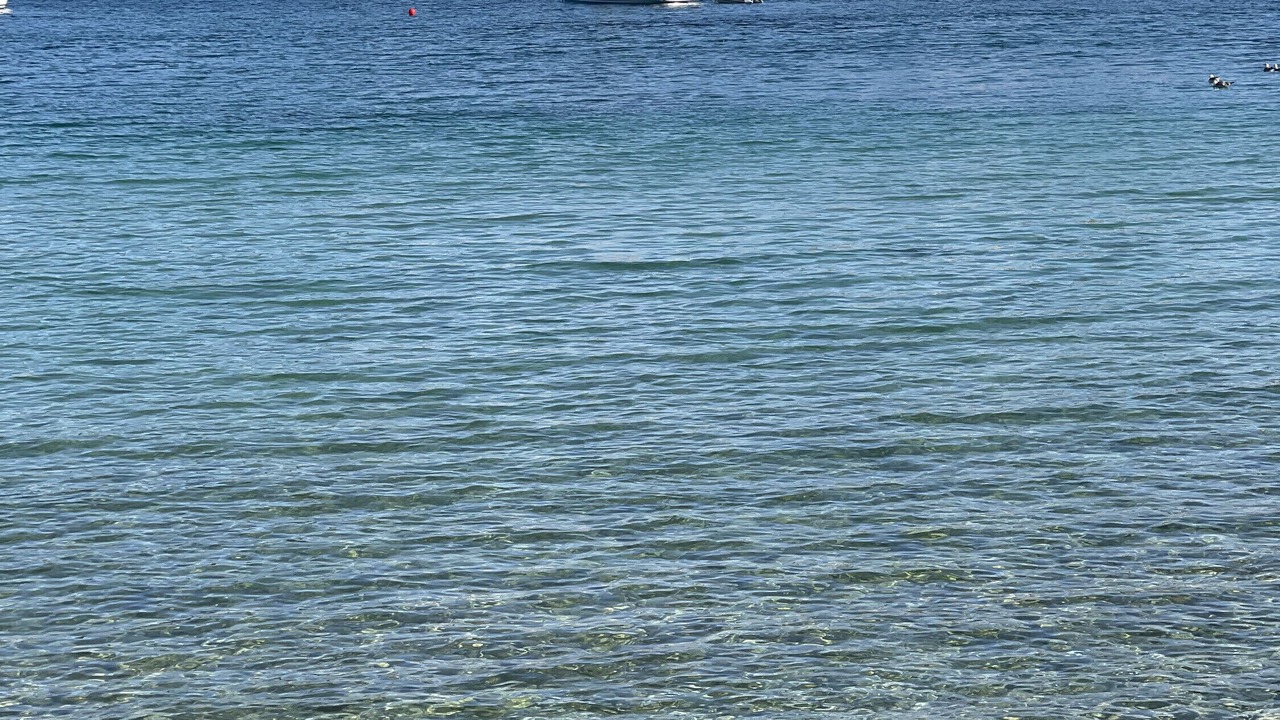 Photo of Others in Puerto de Soller