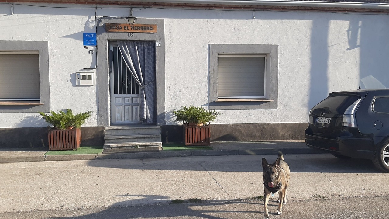 Photo of Outdoor in Chatun