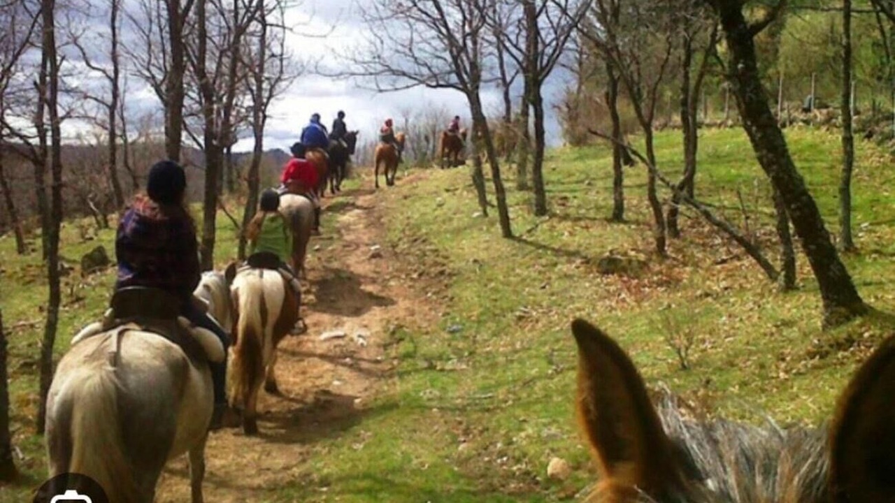 Photo of Others in Riano