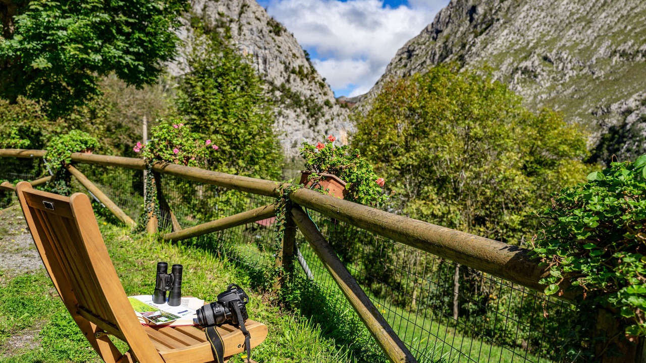 Photo of Outdoor in Ponga