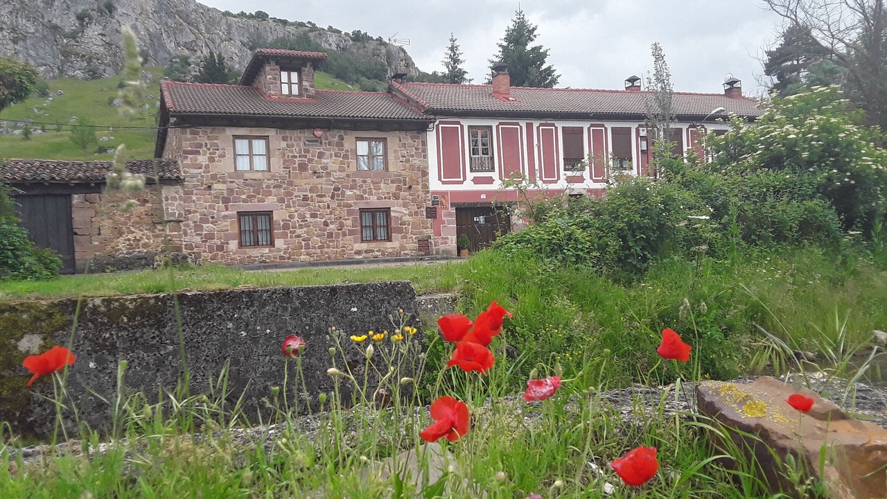 Photo of Outdoor in Muda