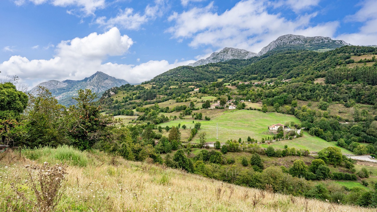 Photo of Others in Barzana