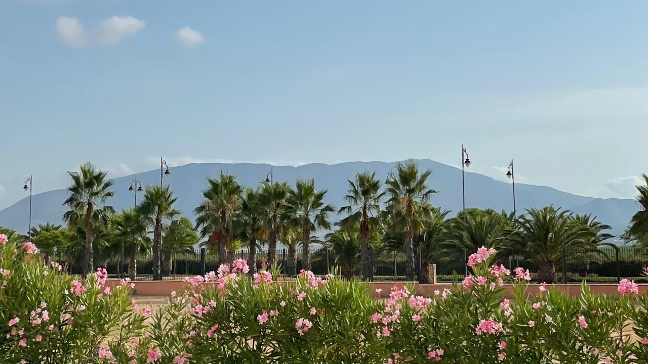Photo of Others in Alhama de Murcia