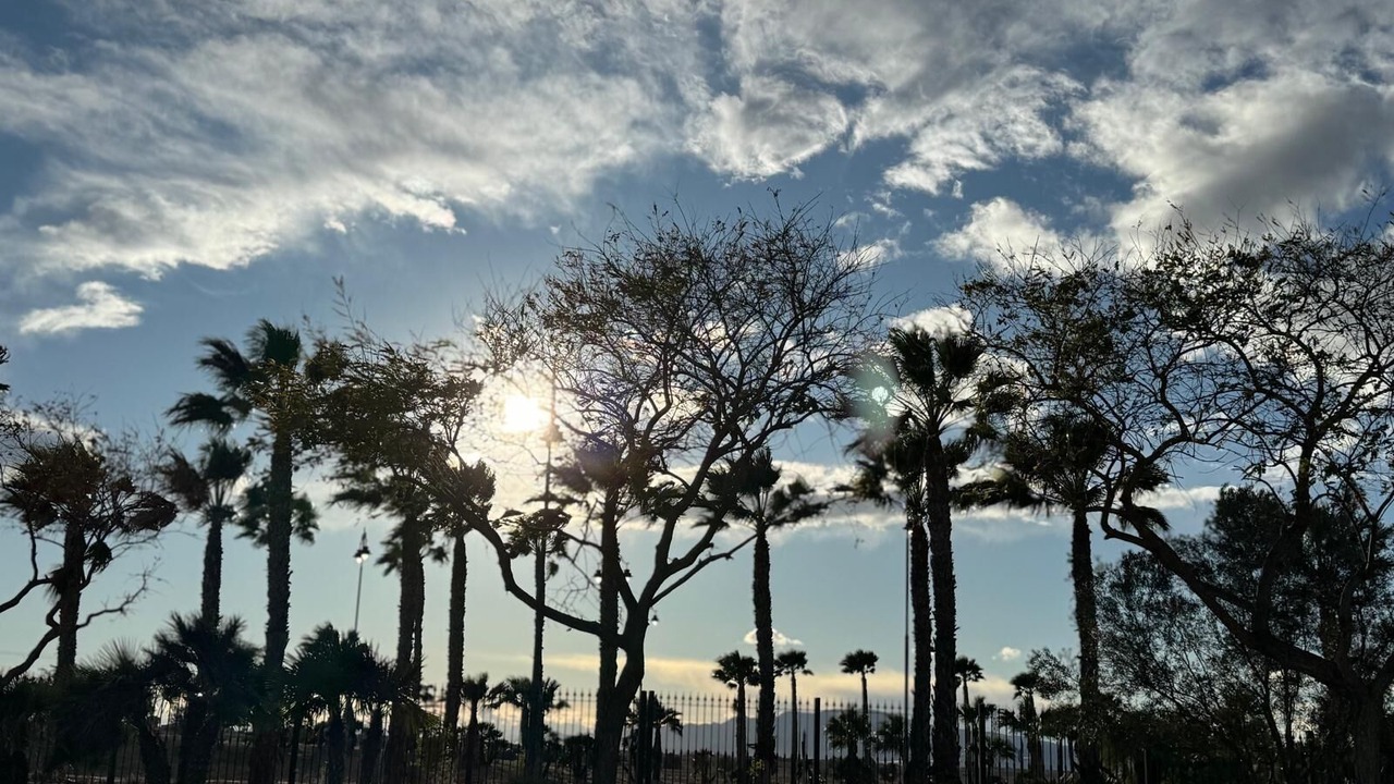 Photo of Others in Alhama de Murcia