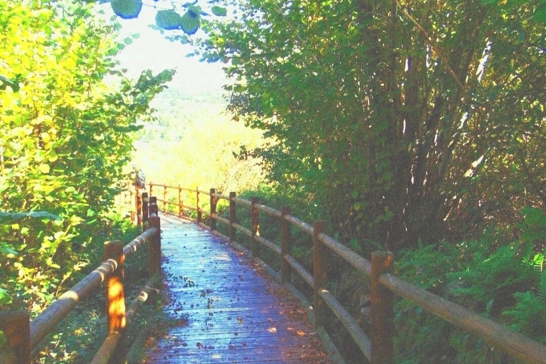 Photo of Others in Villamorey