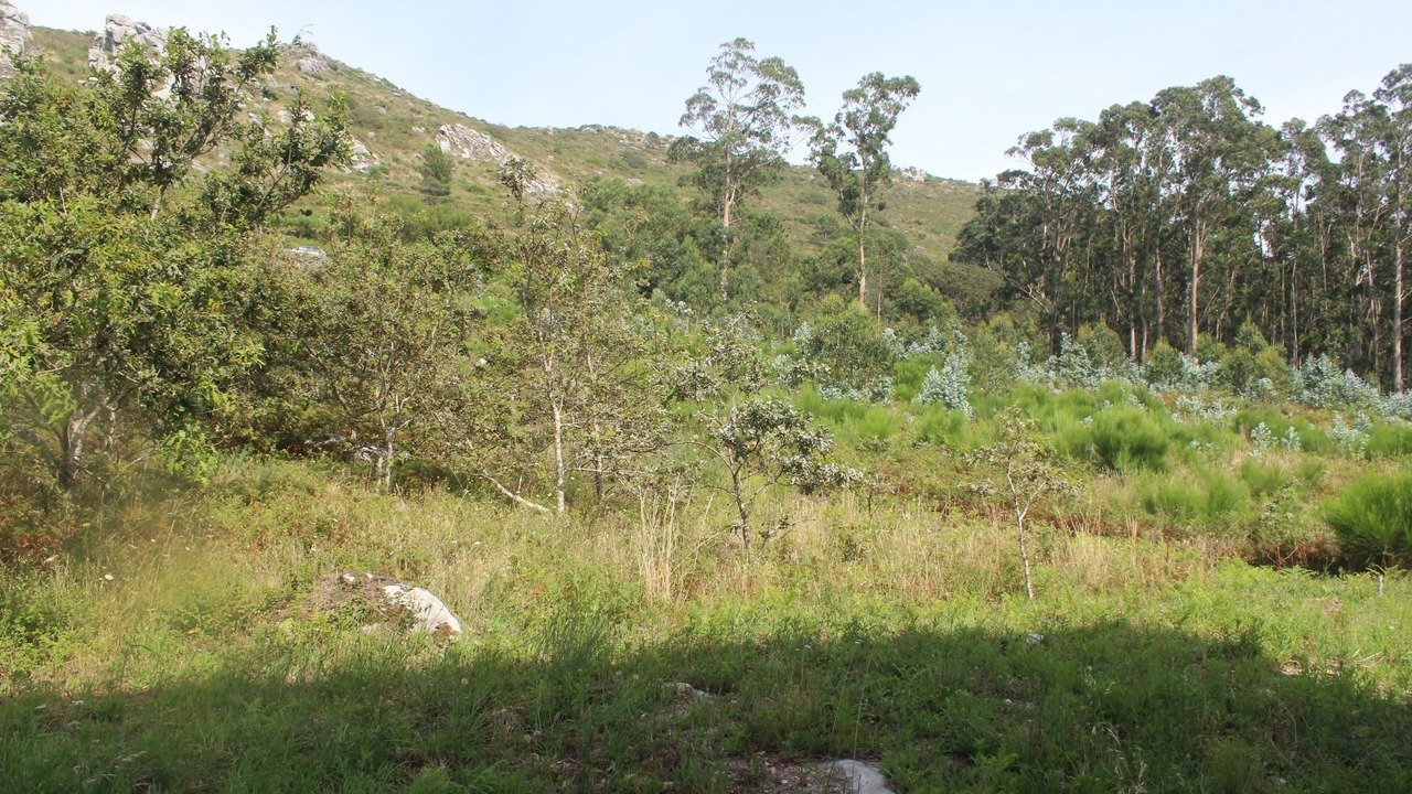 Photo of Outdoor in Carnota