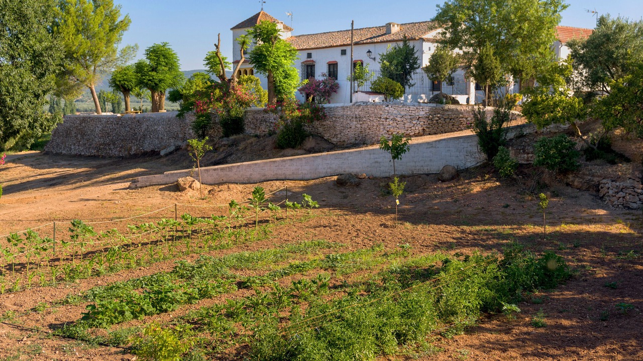 Photo of Outdoor in Chiclana de Segura