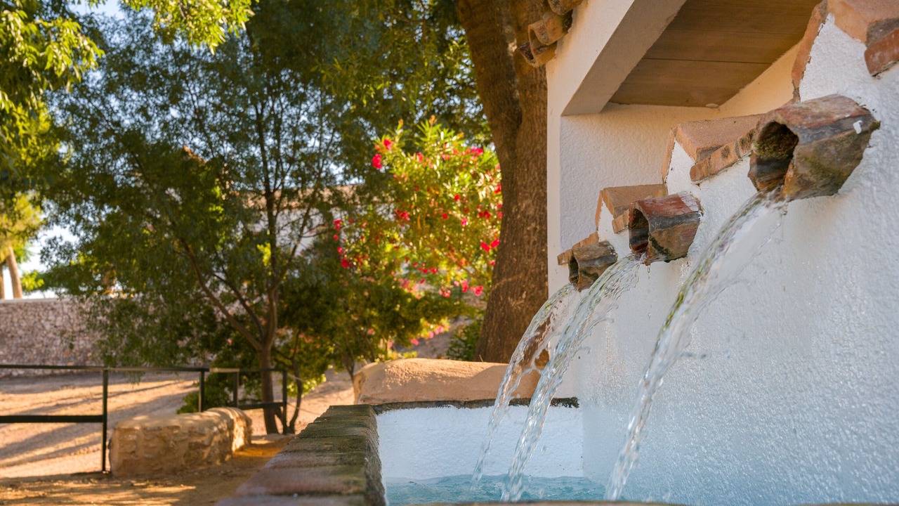 Photo of Outdoor in Chiclana de Segura
