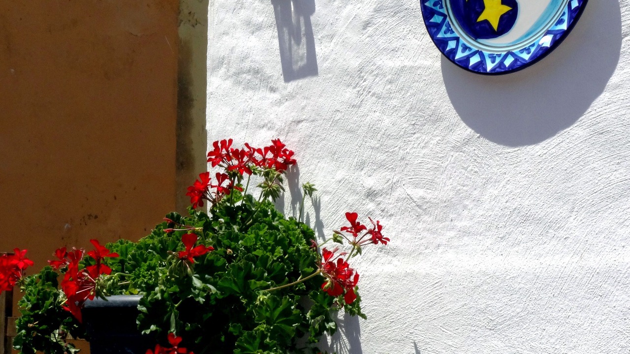 Photo of Outdoor in Ulldecona