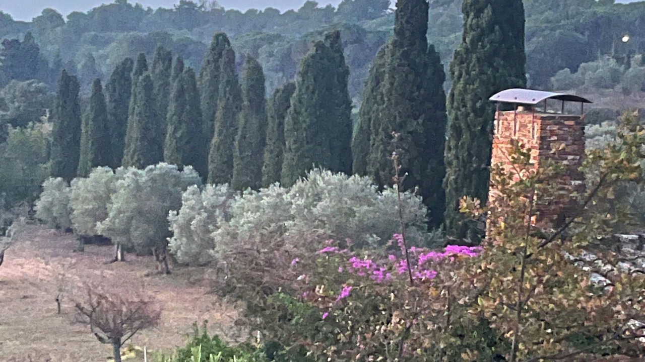 Photo of Others in Vall-Llobrega