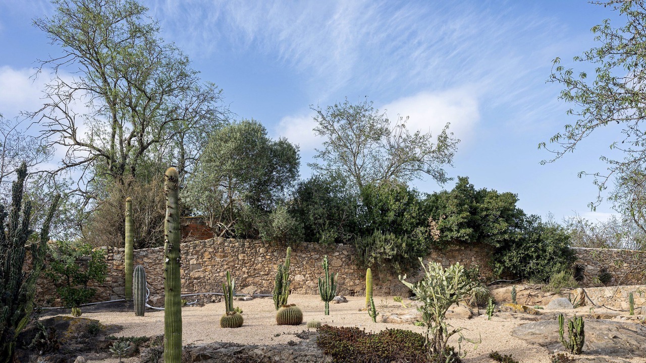 Photo of Outdoor in Mont-Ras