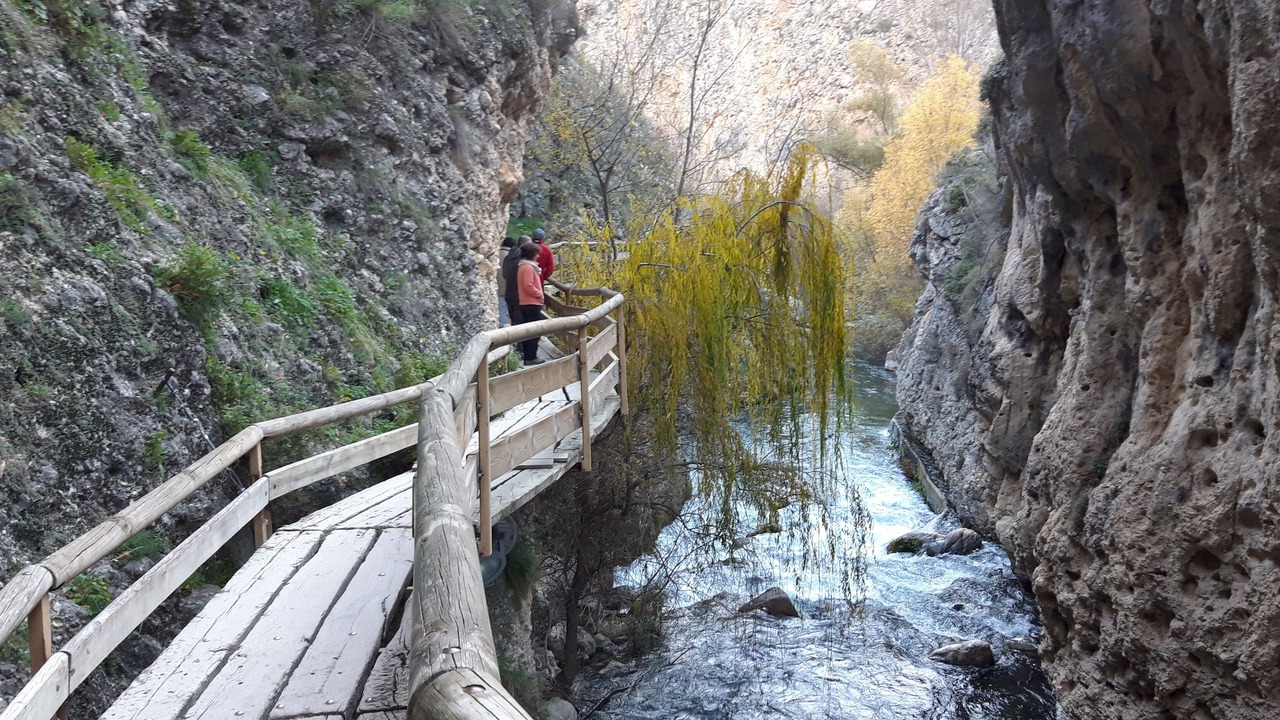 Photo of Others in Castril