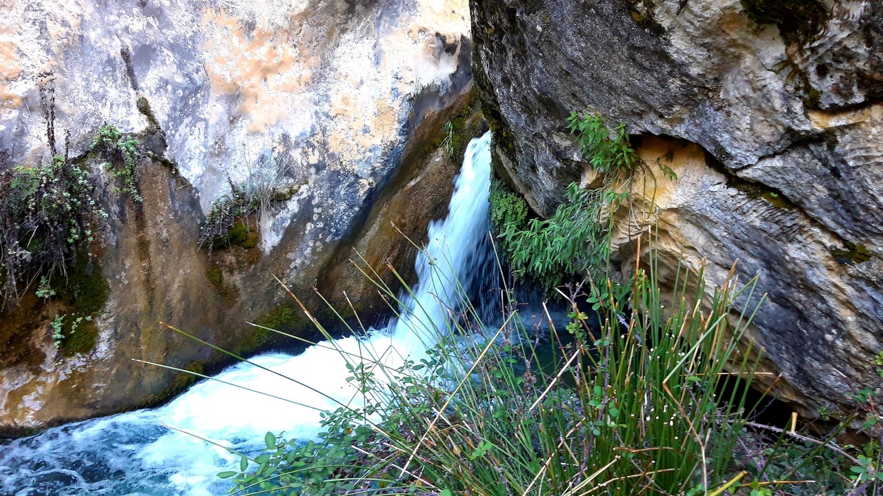 Photo of Others in Castril