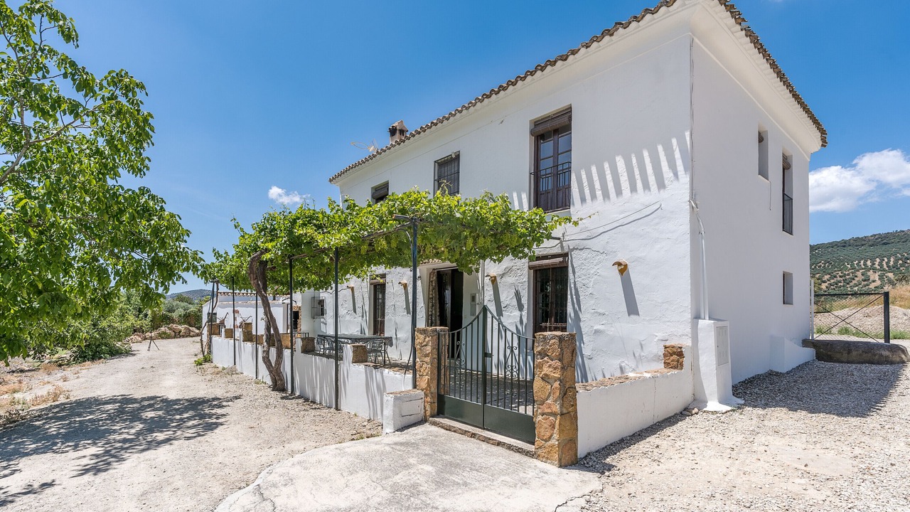 Photo of Outdoor in Las Lagunillas