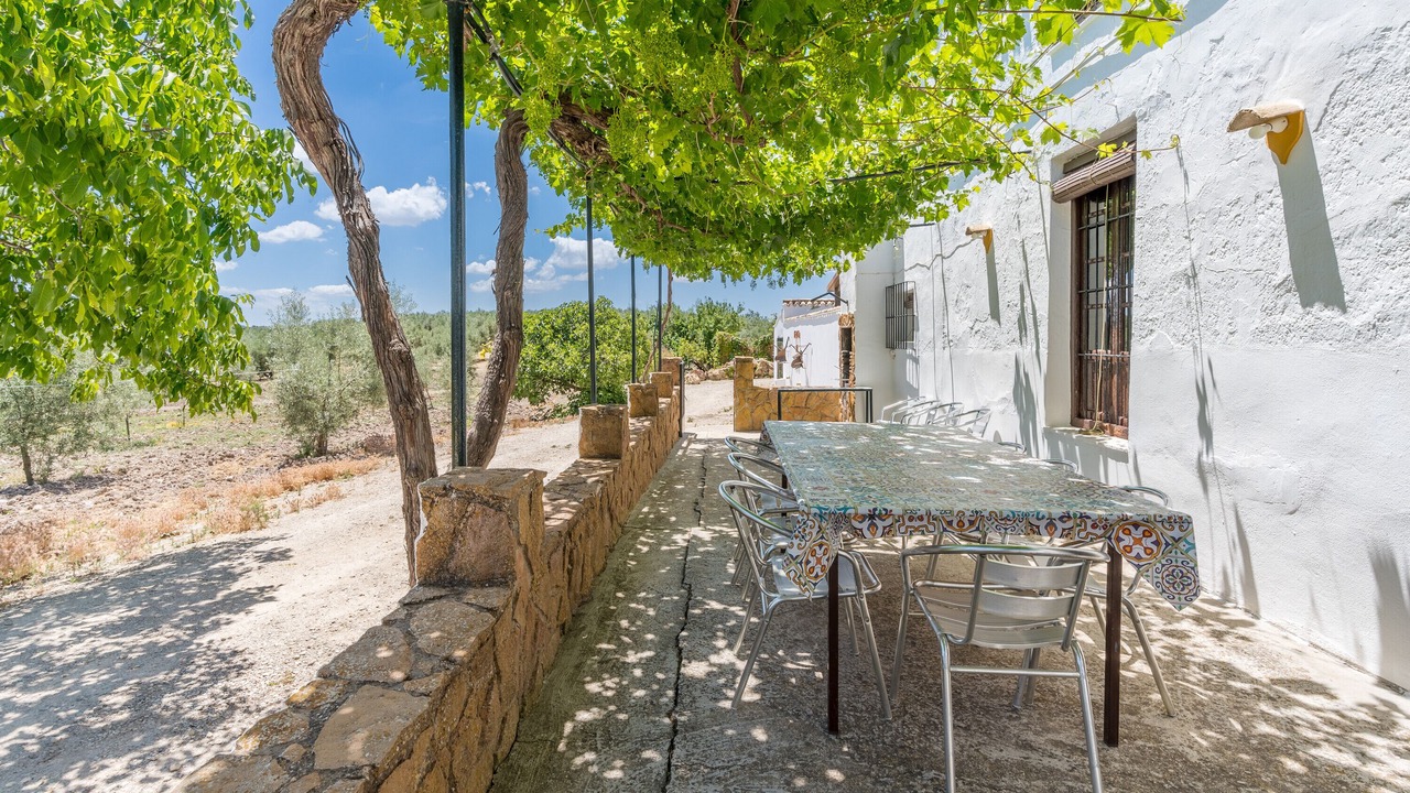 Photo of Outdoor in Las Lagunillas